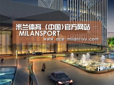 案例展示二