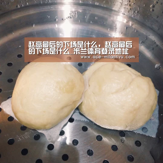 赵高最后的下场是什么,赵高最后的下场是什么_米兰体育登录地址(图3) 米兰体育登录地址
