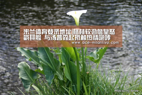 米兰体育登录地址|格林较劲詹皇怒戳其脸 与汤普森起抵触热情咆哮(图2) 米兰体育登录